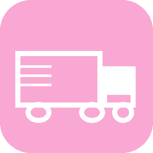 Free shipping icon